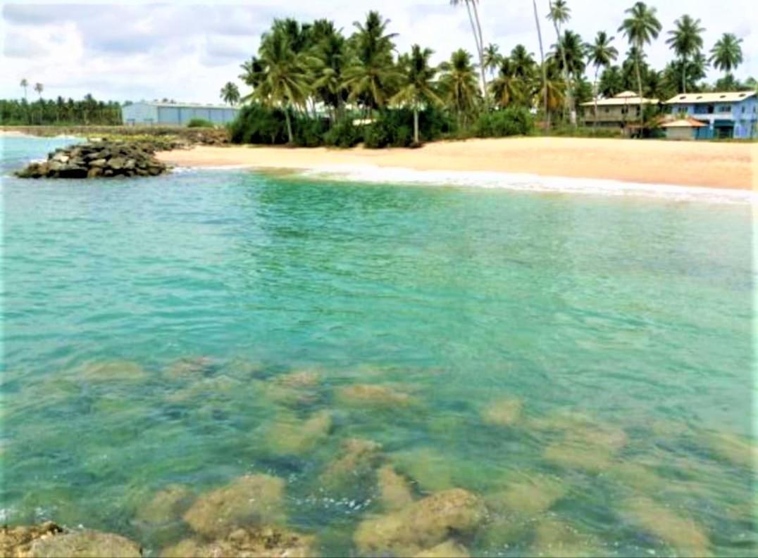 Sea Shell Villa Hikkaduwa 2 Separate Cabanas Ocean Front Villa Extérieur photo